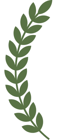 Invitaciones Digital